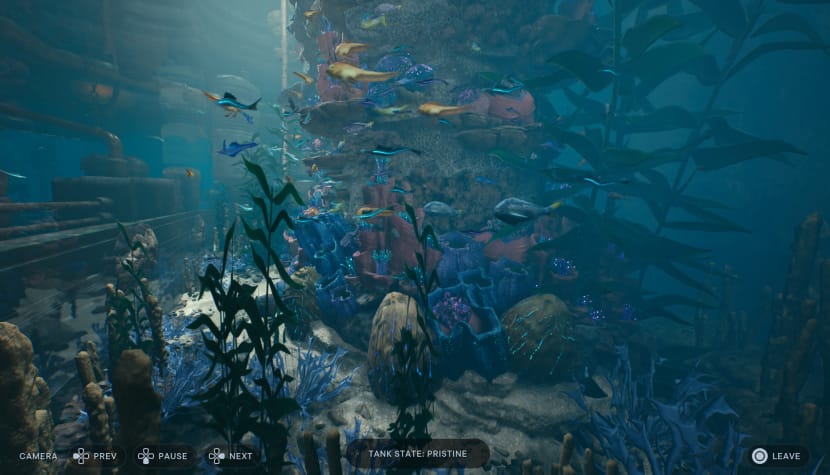 STAR WARS Jedi  Survivor™ 20230422192418 - Star Wars Jedi: Survivor Fish Guide: Locations and the Skoova Diving Trophy